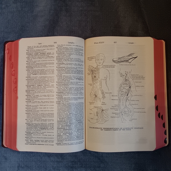 SOLD - Picture 16 of 16